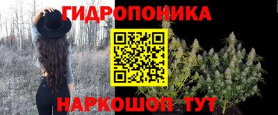 метадон Моздок