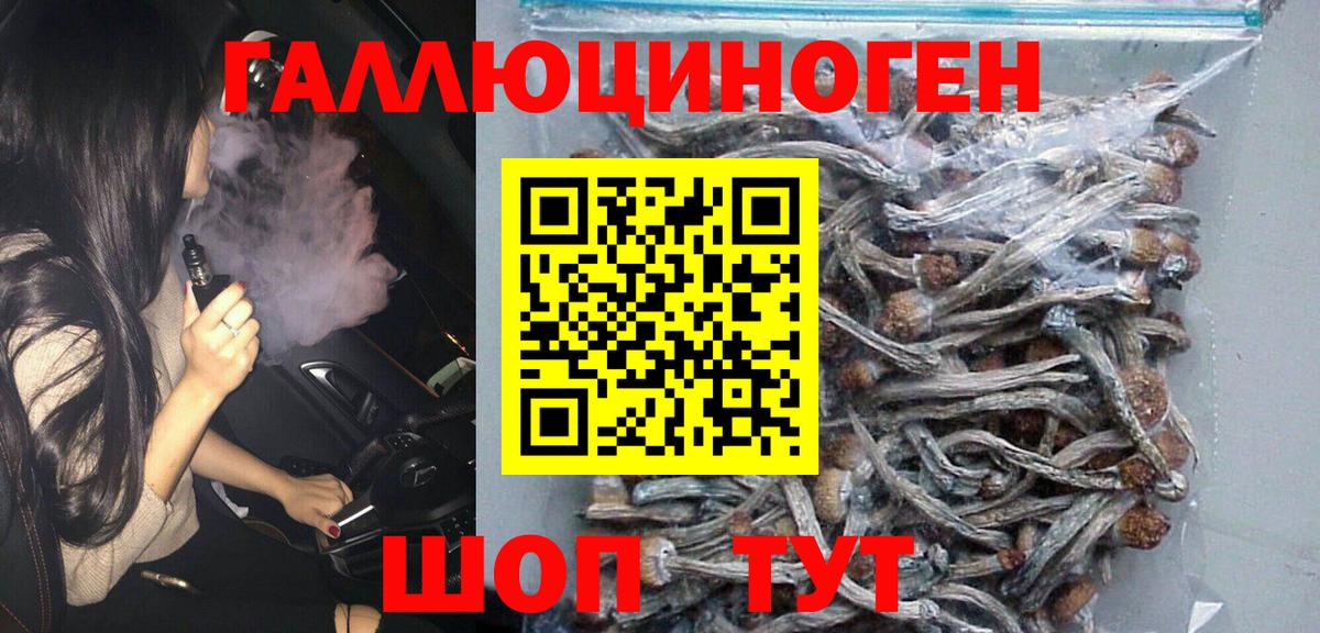 Галлюциногенные грибы Magic Shrooms  Вход с VPN  Сунжа 