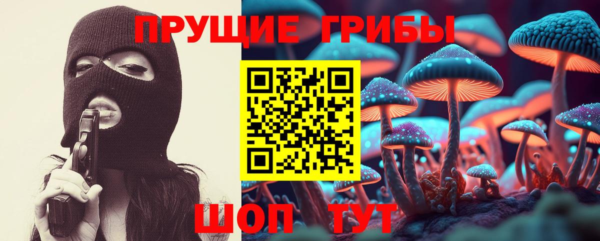 Псилоцибиновые грибы мицелий Сунжа