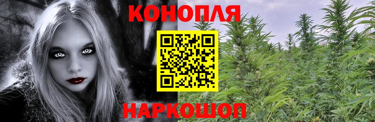 Бошки марихуана MAZAR Сунжа